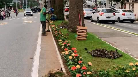 A iniciativa também contou com os apoios da Seinfra e CET-Santos - Imagem: Prefeitura de Santos