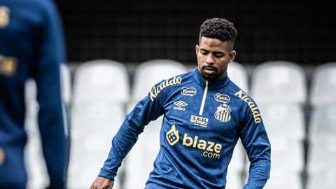 Hayner foi contratado de forma definitiva pelo Peixe após o Campeonato Paulista - Imagem: Flickr/Santos