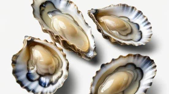 Comércio de moluscos é proibido pelo Governo de SP - Imagem: Reprodução/Freepik