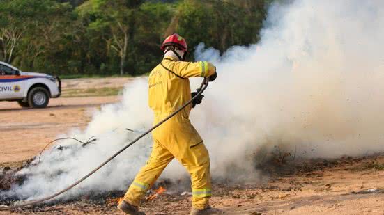 Novo agente químico pode revolucionar combate a incêndios florestais em São Paulo - Imagem: Reprodução/ Governo de SP