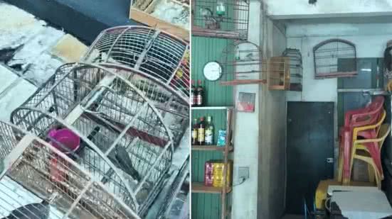 Flagrante de maus-tratos a cachorro e aves silvestres resulta em multa alta no Guarujá - Imagem: Reprodução/ Policia Militar Ambiental