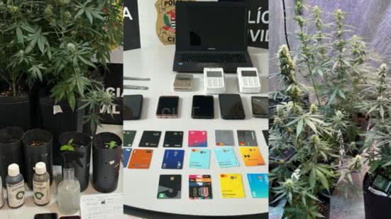 Operação Katastolí resulta em 12 prisões e apreensão de entorpecentes no litoral de SP - Imagem: Divulgação/ Polícia Civil