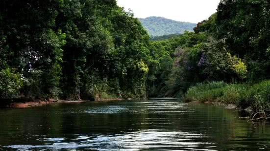 Mulher segue desaparecida após entrar em rio no litoral de SP - Imagem: Divulgação/ Prefeitura de Itanhaém