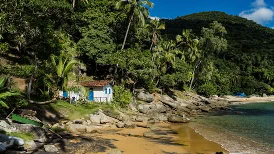 Veja o que é permitido nas praias do litoral - Imagem: Divulgação/ Lailson Santos/ Sectur Ilhabela