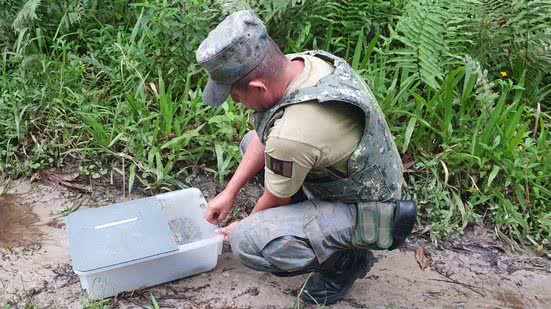 Para emergências com animais silvestres, a população pode acionar o DOA 24 horas por dia pelos números 153 - Imagem: Reprodução/Prefeitura de Bertioga