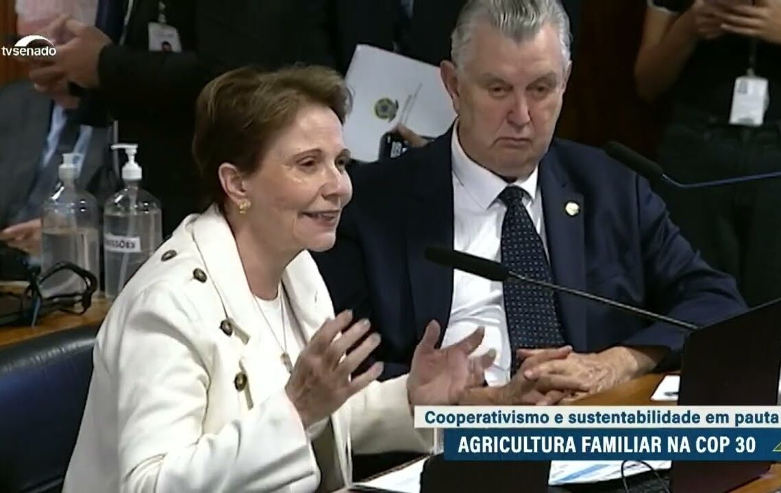 Vídeo: Senadores, especialistas e produtores ressaltam papel da agricultura familiar