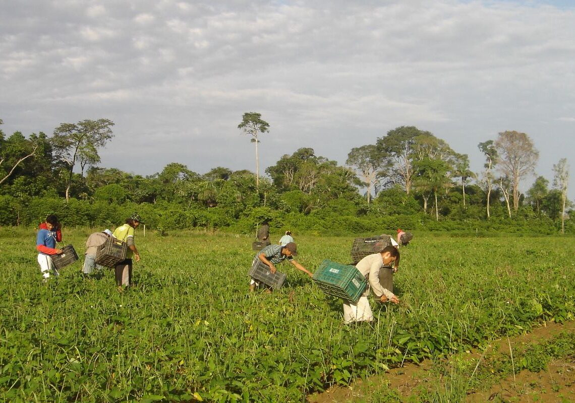 Programa AgroAmigo oferece R$ 1 bilhão em microcrédito