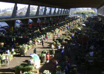 Ceagesp devolve a comerciantes R$ 90 milhões de IPTU indevido