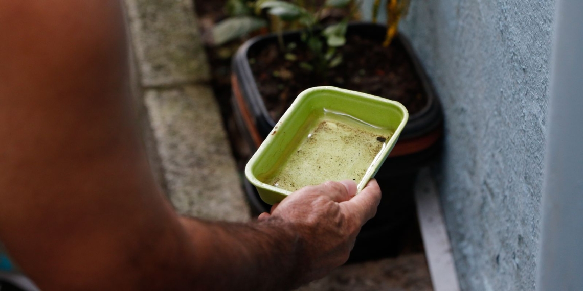 Chikungunya traz preocupações após uma década de presença no Brasil