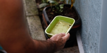 Chikungunya traz preocupações após uma década de presença no Brasil