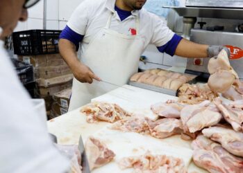 União Europeia reconhece Brasil como livre de gripe aviária