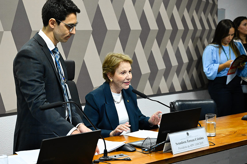 Tereza Cristina presidirá comissão da MP da licença ambiental especial — Senado Notícias