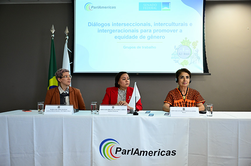 Encontro internacional debate caminhos para equidade de gênero na política — Senado Notícias