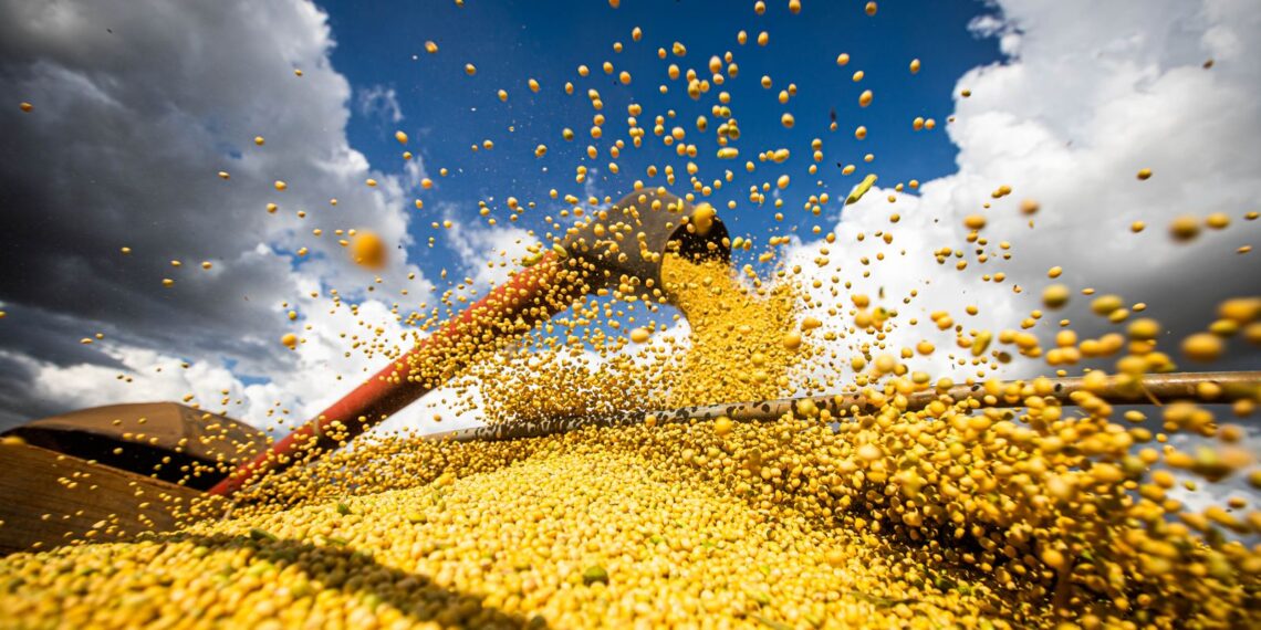 Valor da produção agrícola brasileira recua 3,9% em 2024, mostra IBGE