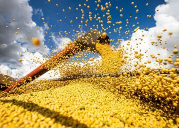 Brasil atinge novo recorde com 350 milhões de toneladas de grãos