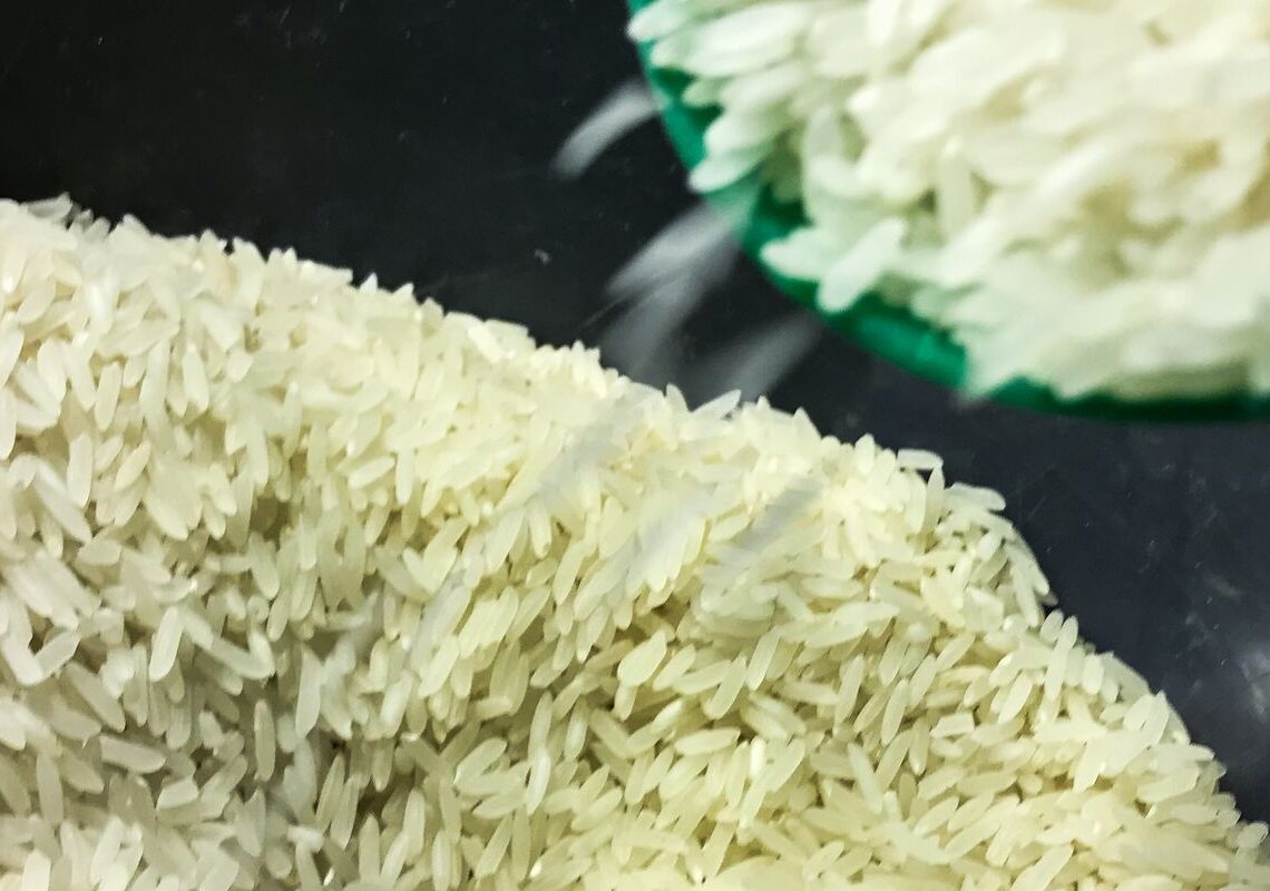 Conab anuncia R$ 300 milhões para produtores de arroz na safra 2025/26