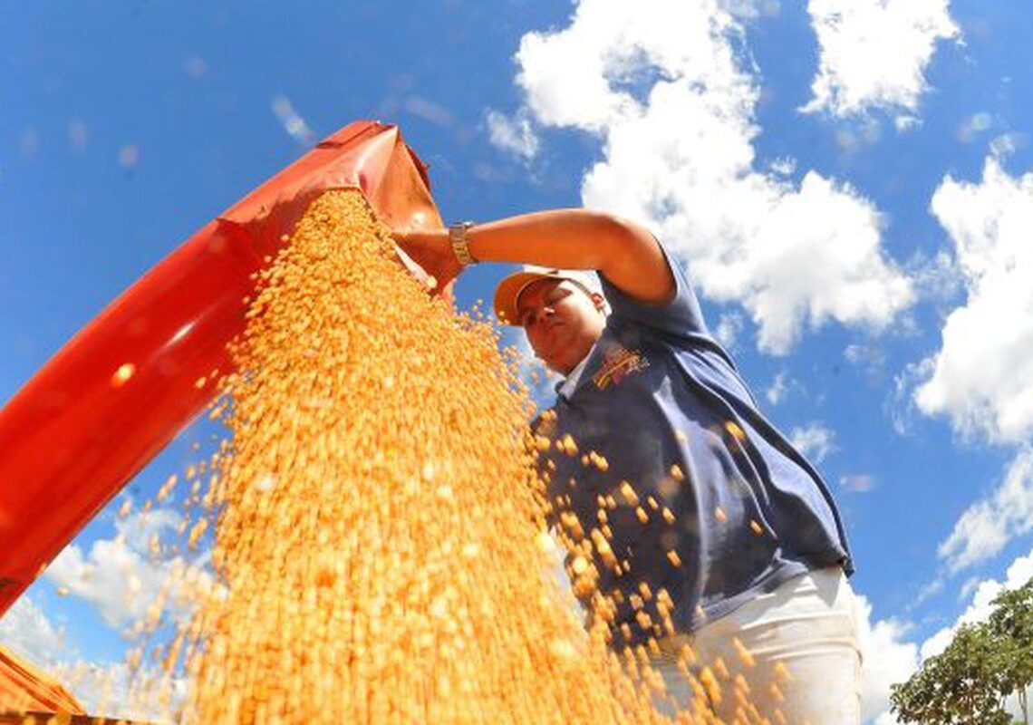 Brasil deve ter nova safra recorde de grãos em 2025/26, diz Conab