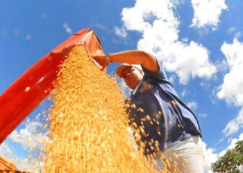 Brasil deve ter nova safra recorde de grãos em 2025/26, diz Conab