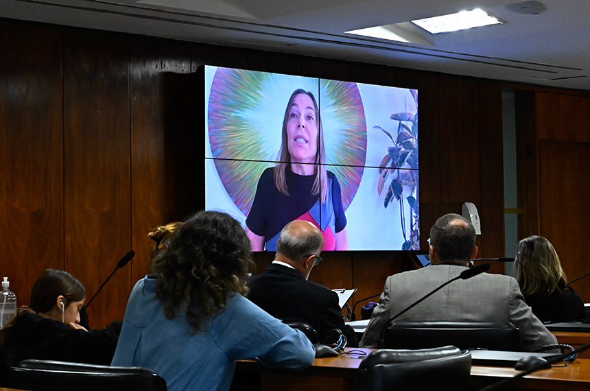 Subcomissão debate Convenção da Haia e casos de violência — Senado Notícias