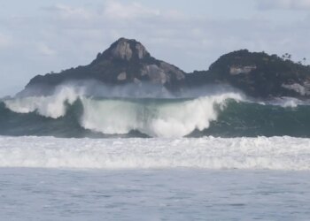 Jovens de 9 países participam de curso de pesquisas oceânicas no Rio