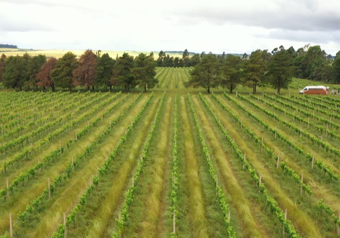 CMN restringe linha especial de R$ 12 bilhões a produtores do RS