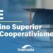 CE celebra 50 anos do ensino em cooperativismo – 8/10/25 — Senado Notícias