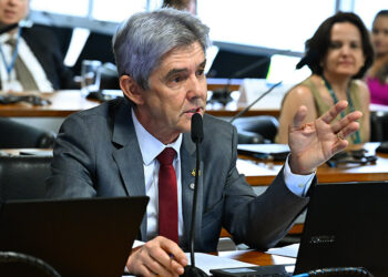 CRA aprova castanha-do-pará como manifestação da cultura nacional — Senado Notícias