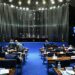 Senado aprova incentivo ao diagnóstico de autismo em adultos e idosos — Senado Notícias