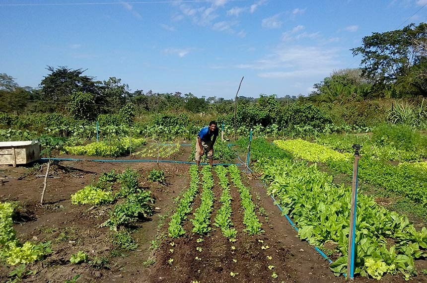 Sancionada lei que amplia acesso de agricultores familiares ao Garantia-Safra — Senado Notícias