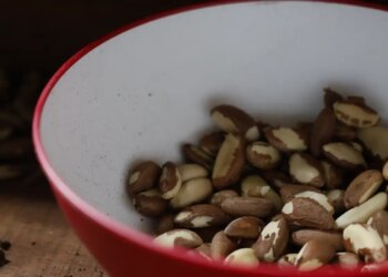 Agricultura familiar do Nordeste vai à maior feira mundial alimentos