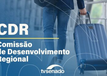 CDR debate desafios da produção de celulose em MS – 25/11/25 — Senado Notícias