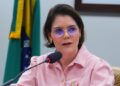 Comissão de Constituição e Justiça aprova criação de estatuto para guardas civis patrimoniais municipais – Notícias