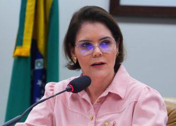 Comissão de Constituição e Justiça aprova criação de estatuto para guardas civis patrimoniais municipais – Notícias