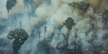 Combate à desinformação na agenda climática e o papel do Senado na COP 30 — Senado Notícias