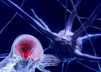 Unesco faz recomendação inédita para uso ético da neurotecnologia