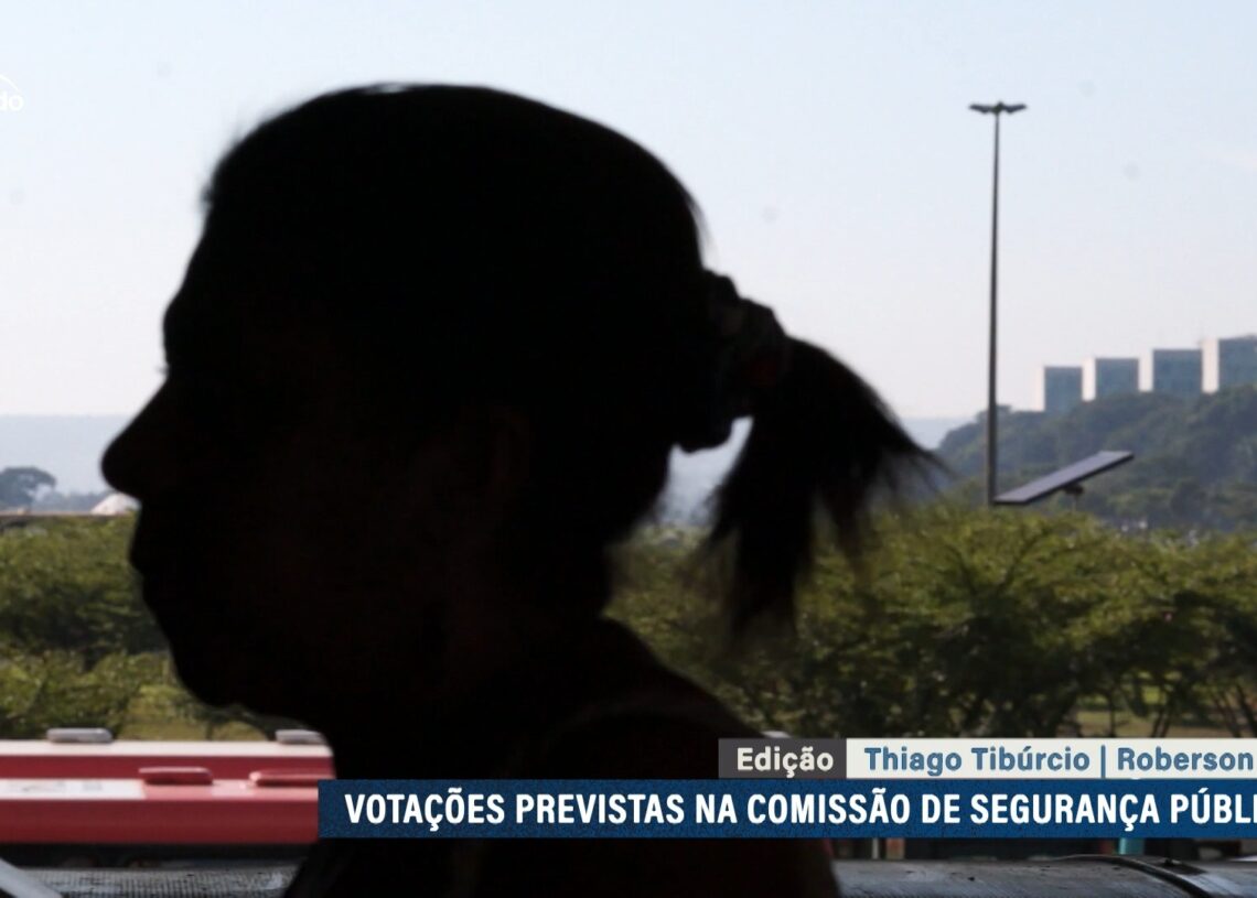 Combate à violência doméstica está na pauta da Comissão de Segurança Pública — Senado Notícias