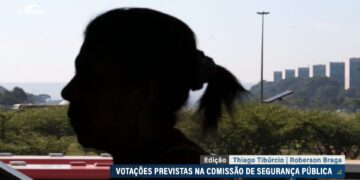 Combate à violência doméstica está na pauta da Comissão de Segurança Pública — Senado Notícias