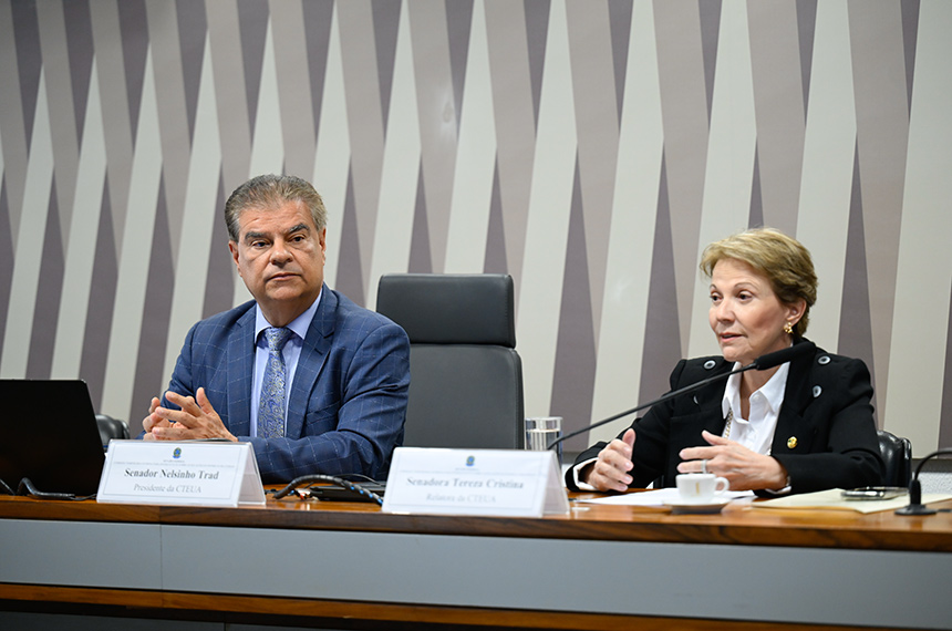 Comissão aprova plano permanente para reforçar relação Brasil–EUA — Senado Notícias