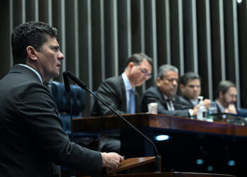 Descriminalização de poda de árvore em caso de risco de acidente vai a sanção — Senado Notícias