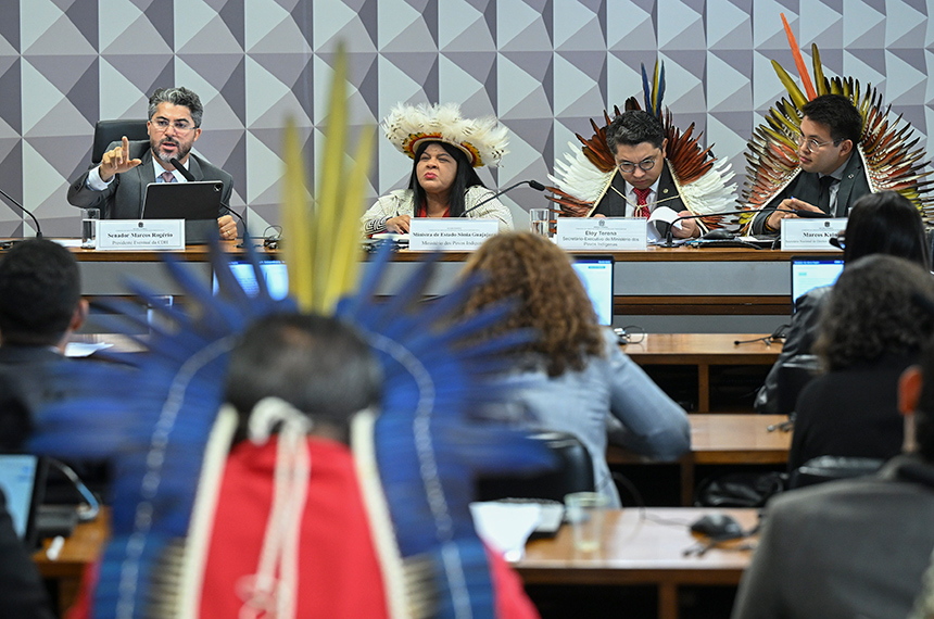 Ministra defende solução negociada para terra indígena em Rondônia — Senado Notícias