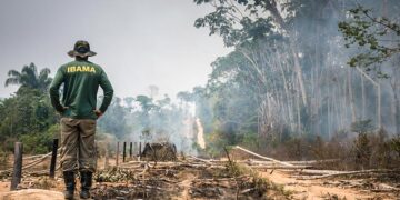 Medida provisória libera R$ 60,46 mi para combate a incêndios e desmatamento — Senado Notícias