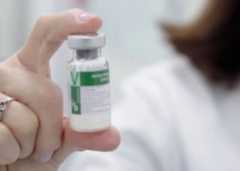 Anvisa publica registro da vacina contra a dengue do Butantan