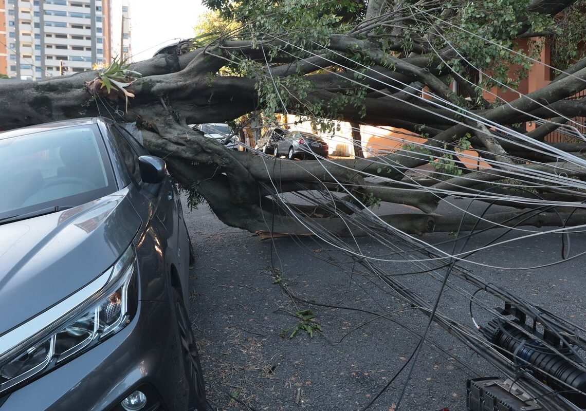 Comércio perde mais de R$ 50 milhões com falta de energia em São Paulo
