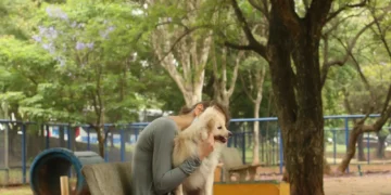 Cade aprova fusão entre Petz e Cobasi com restrições