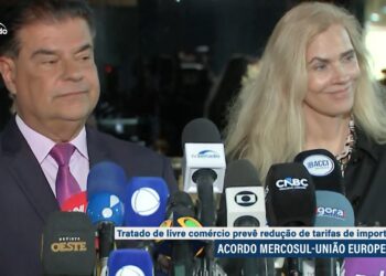 Acordo Mercosul-UE deve ter análise ágil, defendem Nelsinho Trad e embaixadora — Senado Notícias