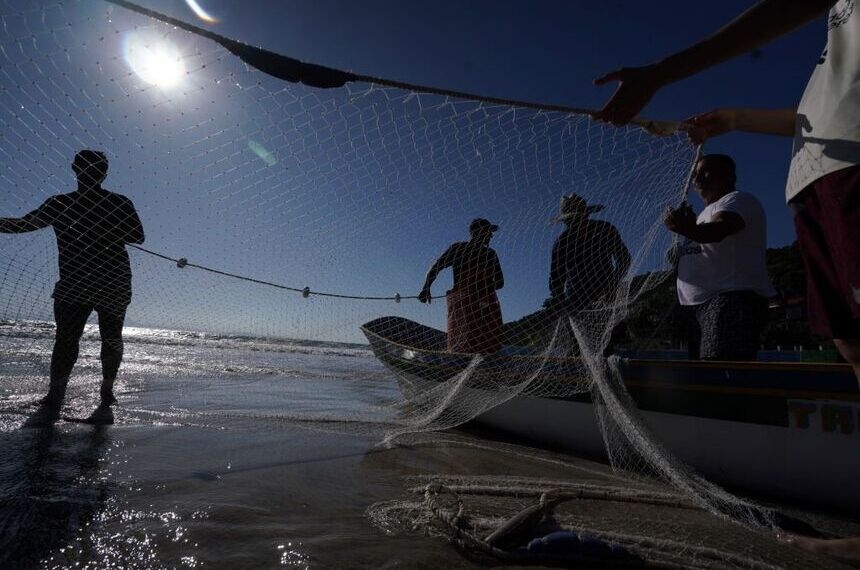 Senado avalia prevenção para pescadores e trabalhadores rurais — Senado Notícias