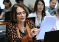 Fim de carência para licença-maternidade no INSS avança — Senado Notícias