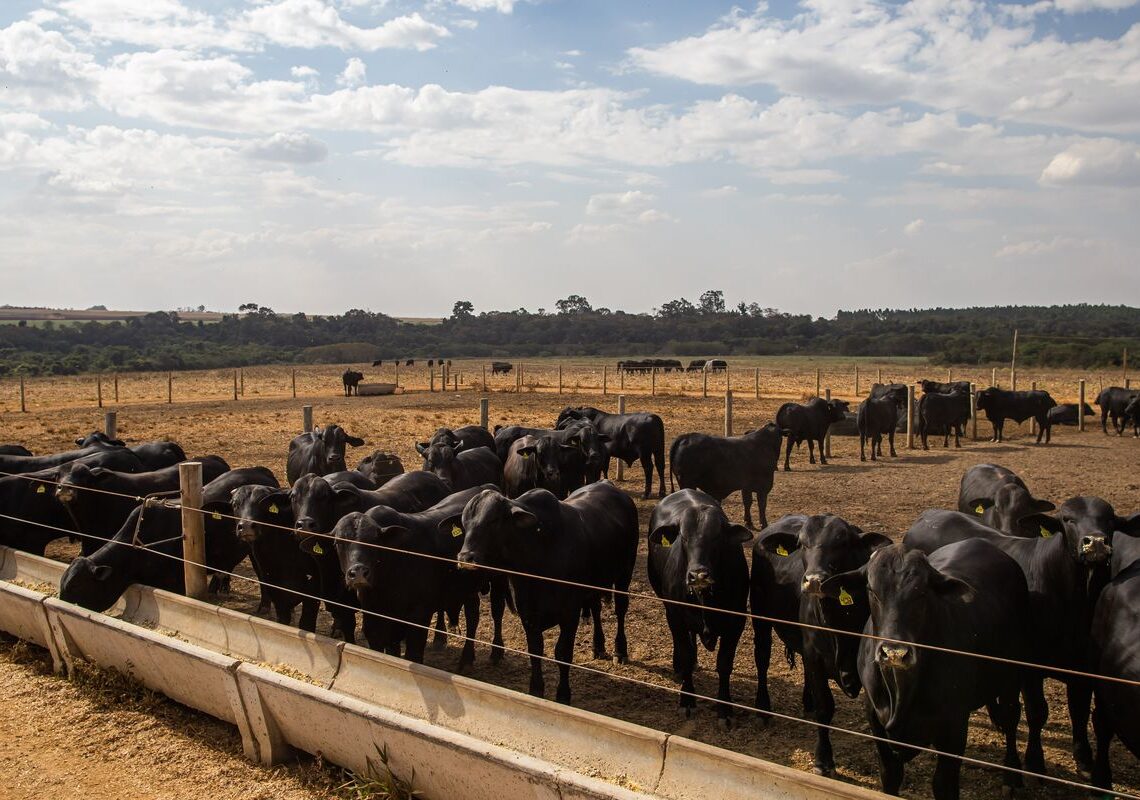 Prévia do PIB aponta crescimento de 2,5% da economia brasileira em 2025