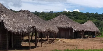 CDH vai analisar inclusão digital de ribeirinhos, quilombolas e indígenas — Senado Notícias