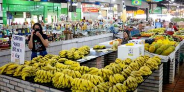 Projeto cria regras para proteção de feirantes tradicionais — Senado Notícias